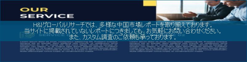 中国市場調査レポート販売サイトです。