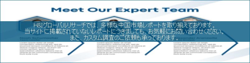 中国市場調査レポート販売サイトです。