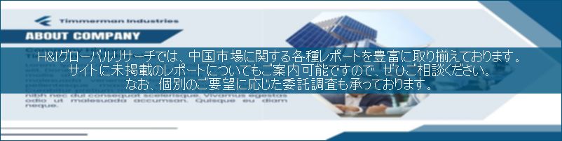 中国市場調査レポート販売サイトです。