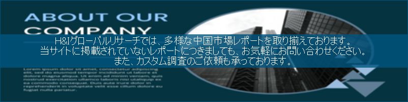 中国市場調査レポート販売サイトです。